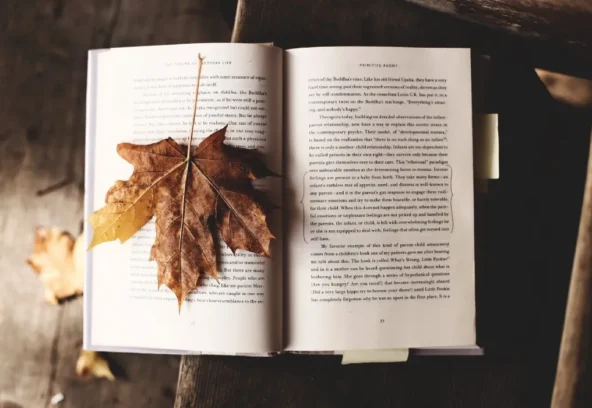 Best free book formatting software