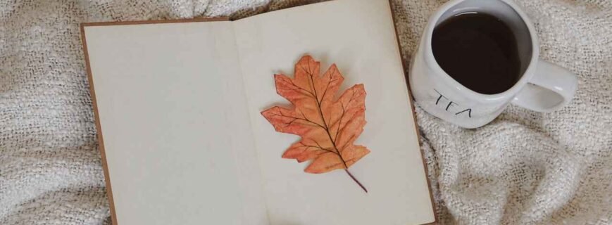 Book formatting software free